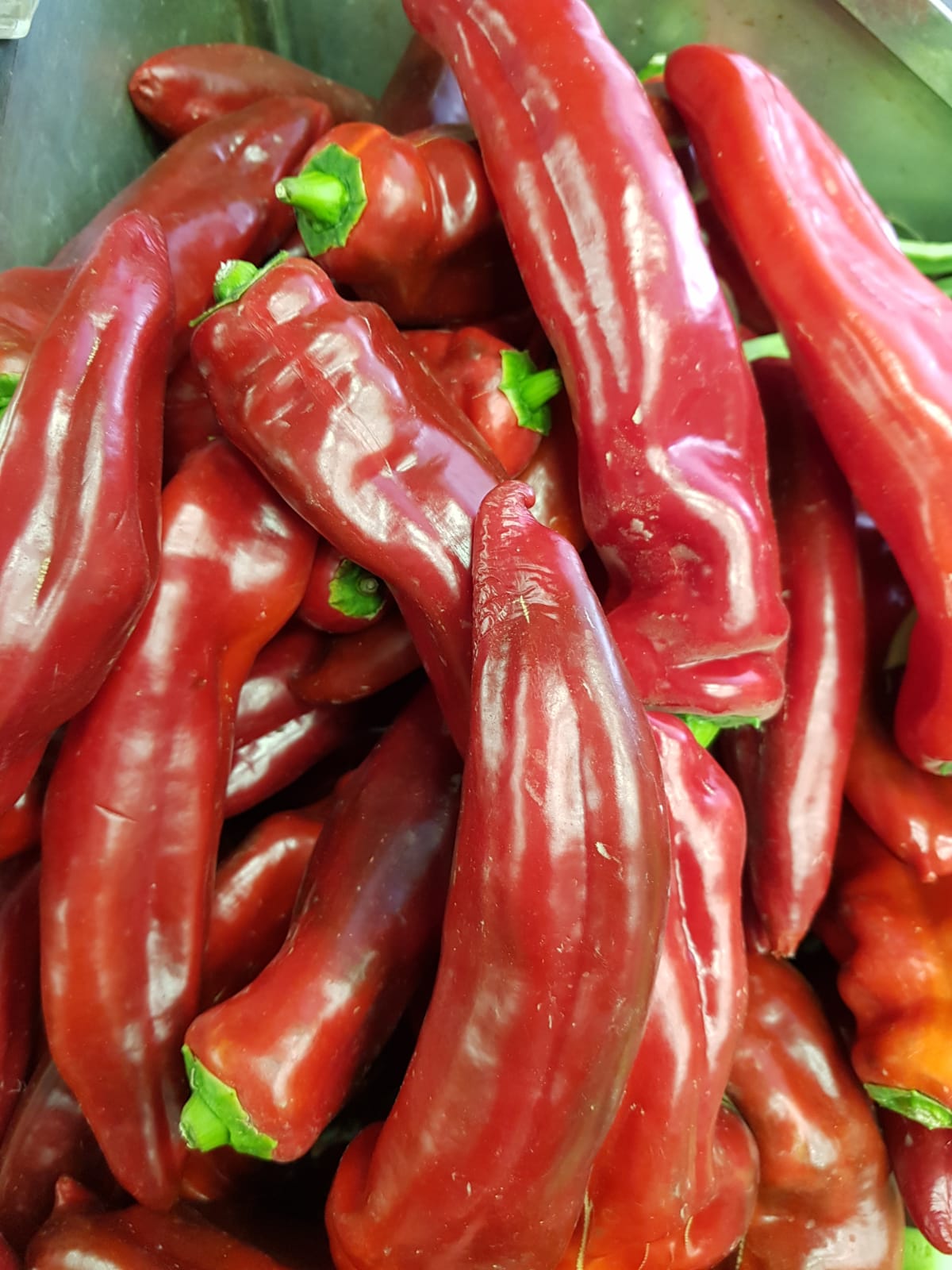 WhatsApp Image 2020-04-19 at 7.02.37 PM.jpeg.jpeg